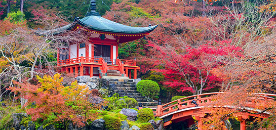 ¿Qué seguro contratar para viajar a Japón?