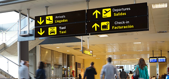 6 tipos de viajeros y el seguro de viaje para cada uno