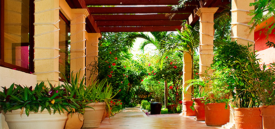 El jardín en el seguro de hogar