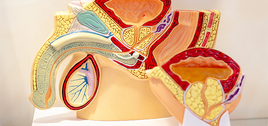 ¿El Seguro de Salud de MAPFRE cubre la vasectomía?