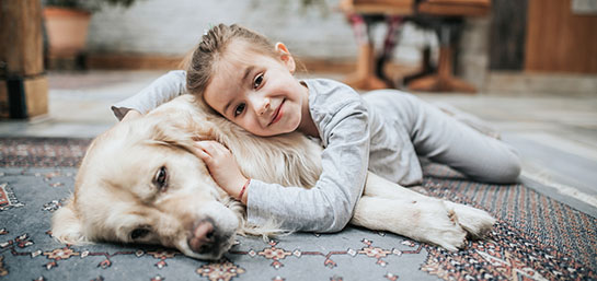 Fluidoterapia para mascotas