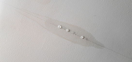 Qué puedo hacer si mi vecino no quiere arreglar una gotera