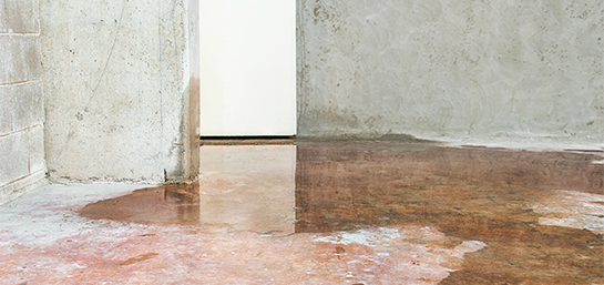 Daños por agua en las comunidades de vecinos