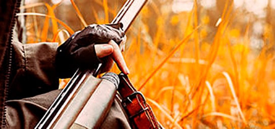 Qué tipo de licencia se necesita para cazar según las zonas