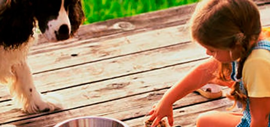 ¿Qué es la enfermedad de Lyme?