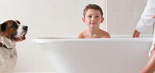 ¿Qué hacer si mi perro tiene parvovirus?