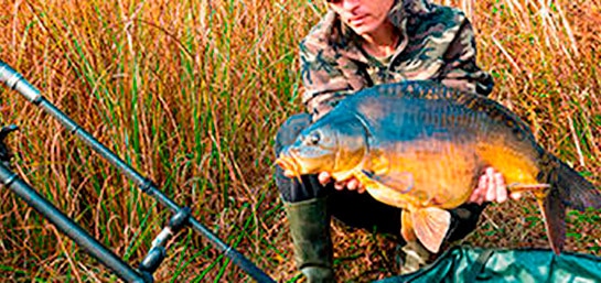 Qué es el Carpfishing y que tipo de licencia se necesita para practicarlo