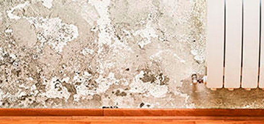 Consejos para saber cómo quitar humedades