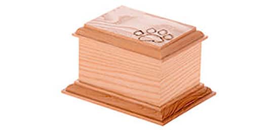 La cremación de mascotas en España según la ley