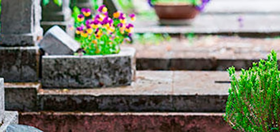 Consejos para elegir entre nicho o tumba