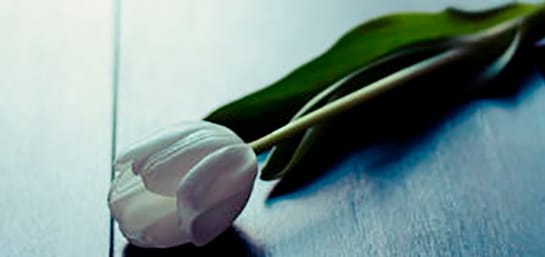 Diferencias entre esquela funeraria y obituario