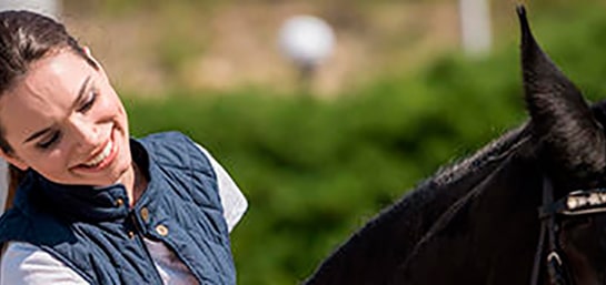 Documentación necesaria para comprar o vender un caballo