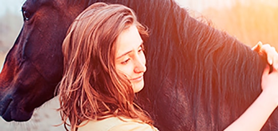 Cómo elegir los mejores seguros para caballos