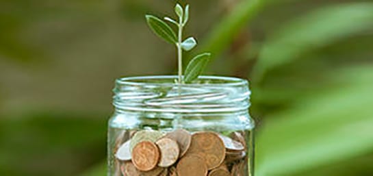 ¿Cuál es la función de la entidad depositaria?