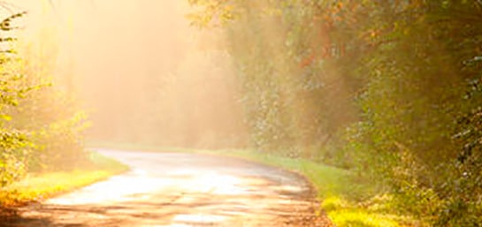 Claves para superar la muerte de un hijo