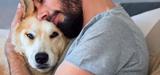 Normas sobre animales domésticos en una comunidad de vecinos