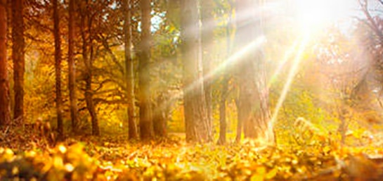 ¿Puedo fraccionar el pago en un seguro de decesos?