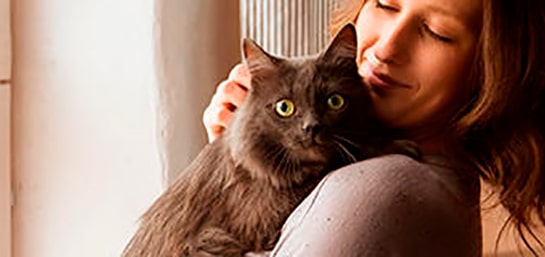 Seguros para animales y qué cubre cada uno