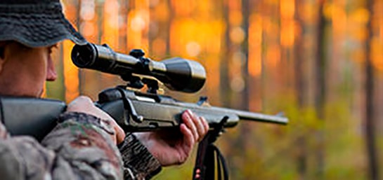 ¿Cubre el seguro los daños por accidente de caza?