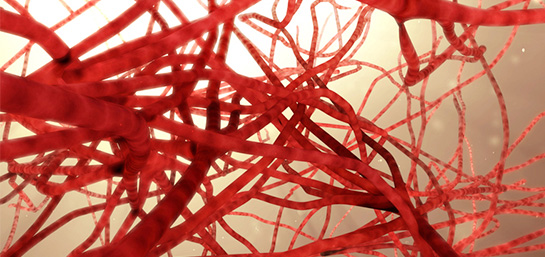 ¿Qué es la angiogénesis?