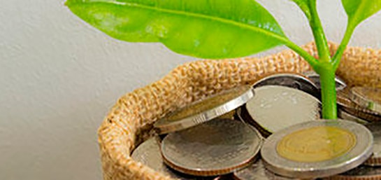 Qué son los derechos consolidados