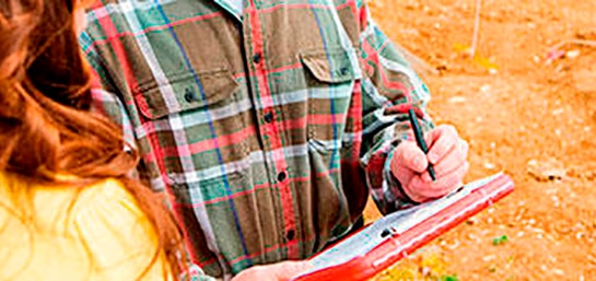 Robo en una vivienda en obras, ¿quién se hace cargo?