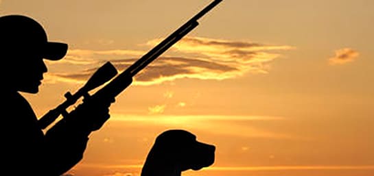 ¿Dónde se localizan los mejores cotos de caza en España?