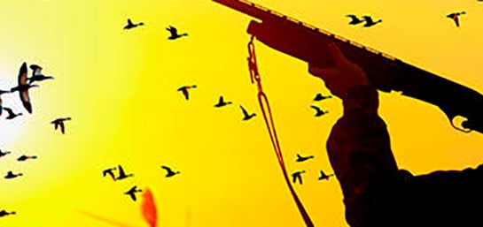 ¿En qué casos hay que tener un seguro obligatorio de caza?