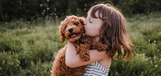 Razas de perro más fieles y cariñosos