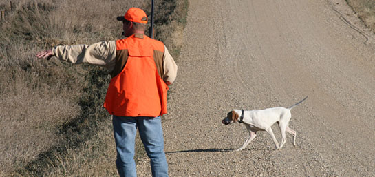 Cómo renovar tu licencia de caza