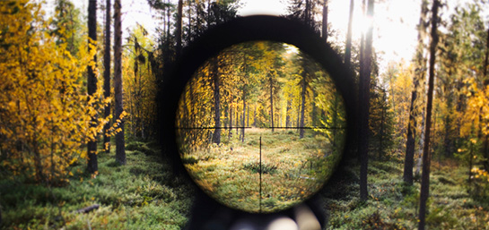 Modelos más comunes de rifles de caza mayor