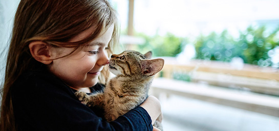 Seguro para mascotas, ¿qué coberturas debemos exigir?