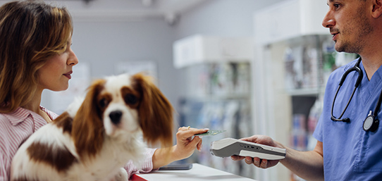 ¿Cubre el seguro de mascota los gastos del veterinario?