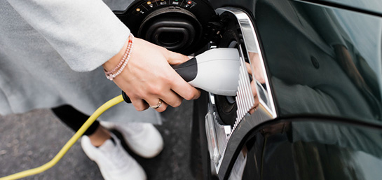 ¿Qué son los seguros ecológicos?