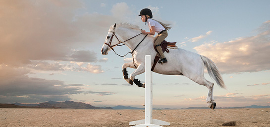 Licencia federativa para caballos