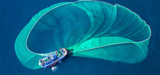 Las mejores zonas de pesca marítima en España